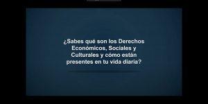 Derechos Económicos, Sociales y Culturales (DESC)